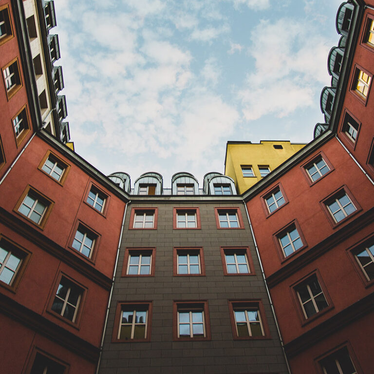 1ruth-d-AM5TD0rKF40-unsplash